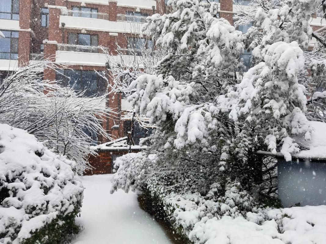 梦见大雪纷飞积雪很厚是吉是凶_梦见大雪纷飞积雪很厚_梦见大雪纷纷扬扬积雪很厚