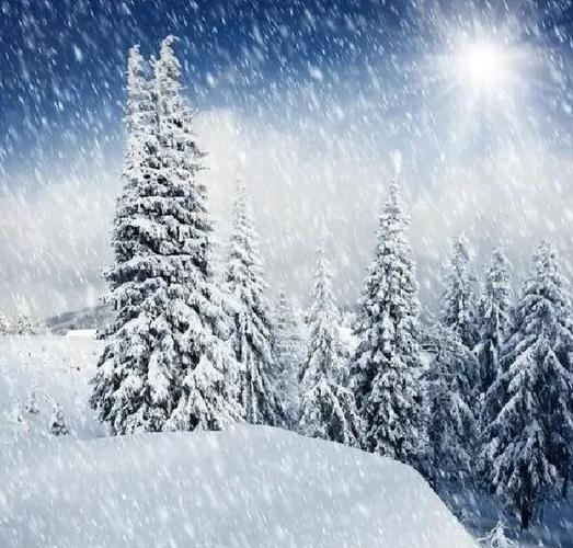 梦见下雪都是生的男孩_梦见下雪预示生男孩_梦见大雪生男孩解梦