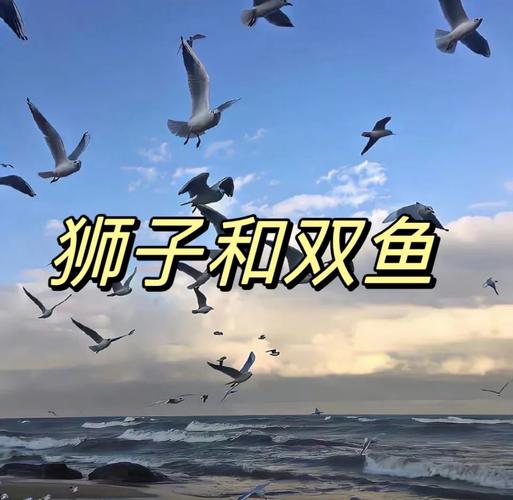 双鱼座狮子座恋爱相处技巧_双鱼座和狮子座的匹配度是多少_双鱼座狮子座性格差异互补