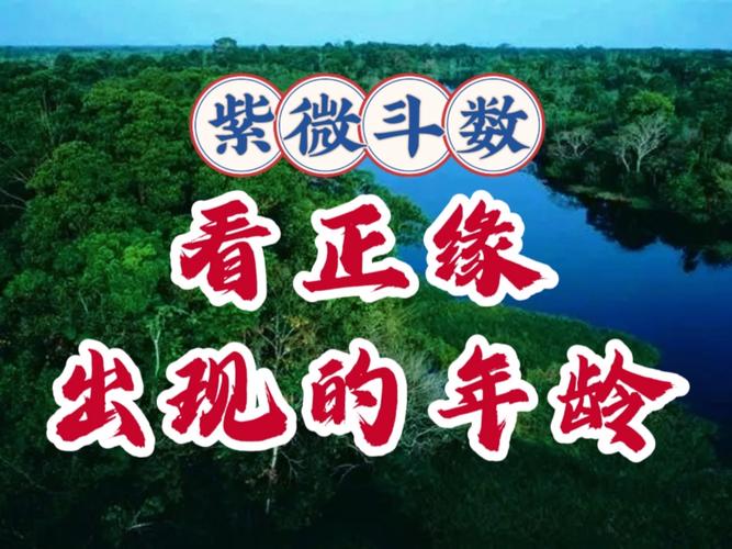 紫微斗数看姻缘口诀_紫微斗数夫妻宫分析_紫微斗数看姻缘的口诀