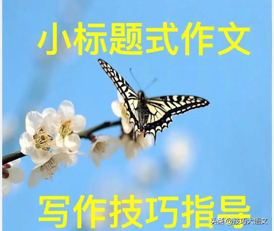 金兔命时辰命运解析_金兔命最好的三个时辰_金兔命最佳出生时辰
