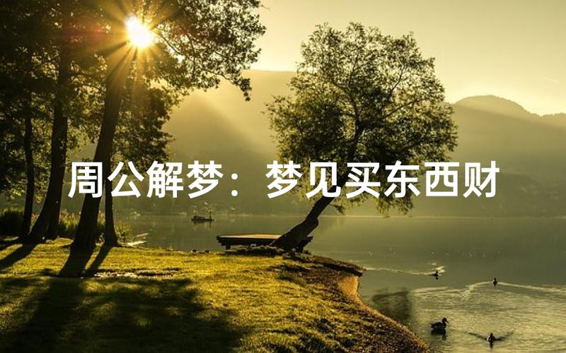 梦见买东西人际关系_梦见买东西_梦见买东西预示财运