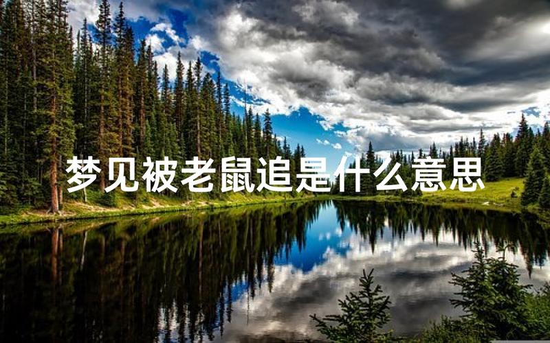 梦见老鼠爬到自己床上_老鼠爬床的预兆_梦见老鼠爬上床