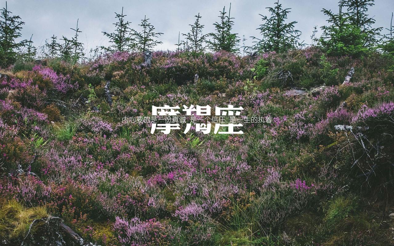 摩羯座和双鱼座性格配对_摩羯座与双鱼座感情分析_摩羯座和双鱼座性格合吗