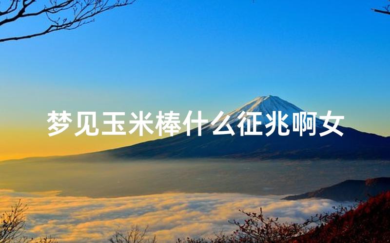 梦见玉米长得很高说明什么_梦见玉米茂盛预示什么_梦见玉米长的很高茂盛