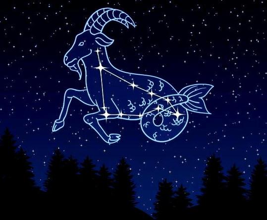 摩羯座孩子教育方式_摩羯座孩子性格特点_摩羯座的孩子性格怎么样