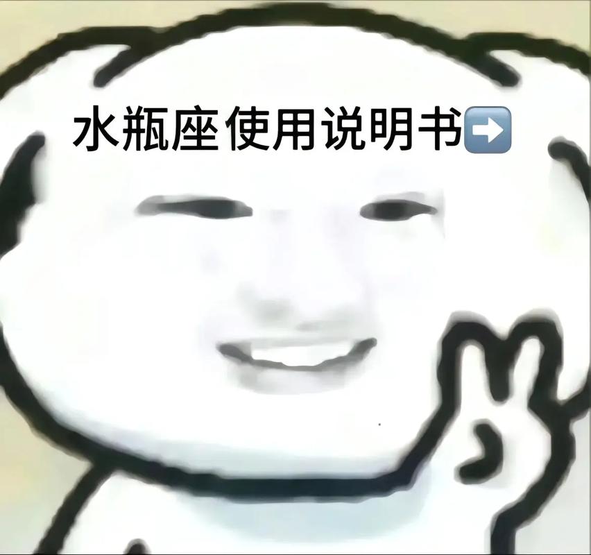 水瓶座配对分析_水瓶座情侣性格合拍度_两个水瓶座在一起会怎么样