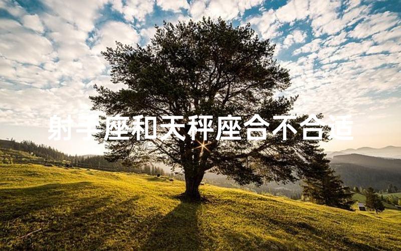 射手座男和天秤座女性格匹配度_射手座男和天秤座女婚姻状况_射手座男和天秤座女婚姻咋样