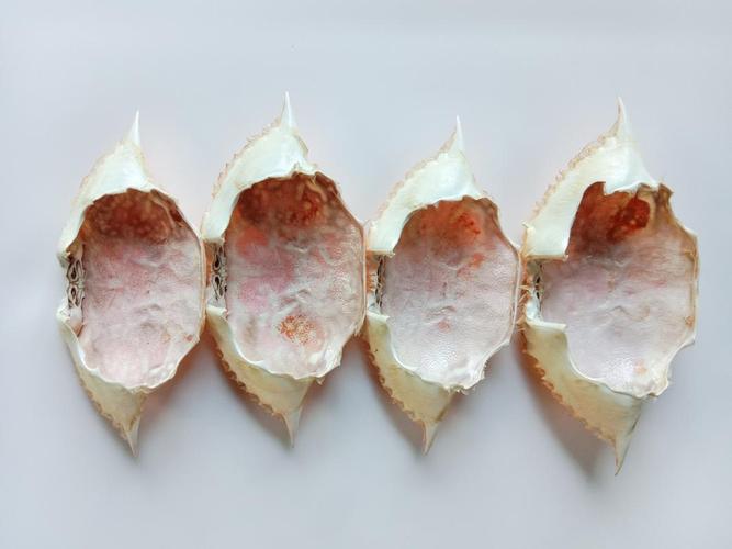 梦见好多螃蟹_梦见好多螃蟹预示什么_梦见大量螃蟹解析