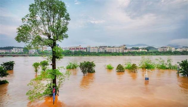 梦见涨水又退了是什么意思？解梦专家为你解析梦境寓意