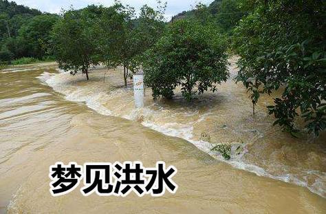 梦见涨水又退了是什么意思_周公解梦涨水消退预示_梦见涨水又退了是什么意思
