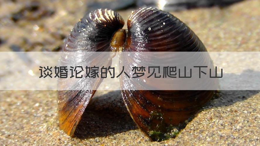 梦见下山_梦见下山含义_梦见下山象征意义