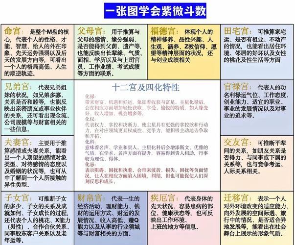 紫微斗数四化飞星详解_紫微斗数四化飞星全解_禄权科忌含义与应用