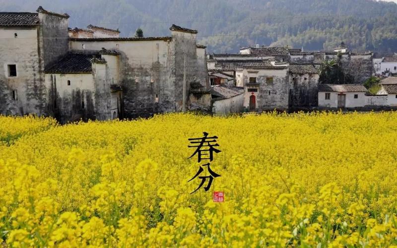 紫微斗数看买房如何判断最佳时机与吉凶方位？命理师揭秘购房智慧
