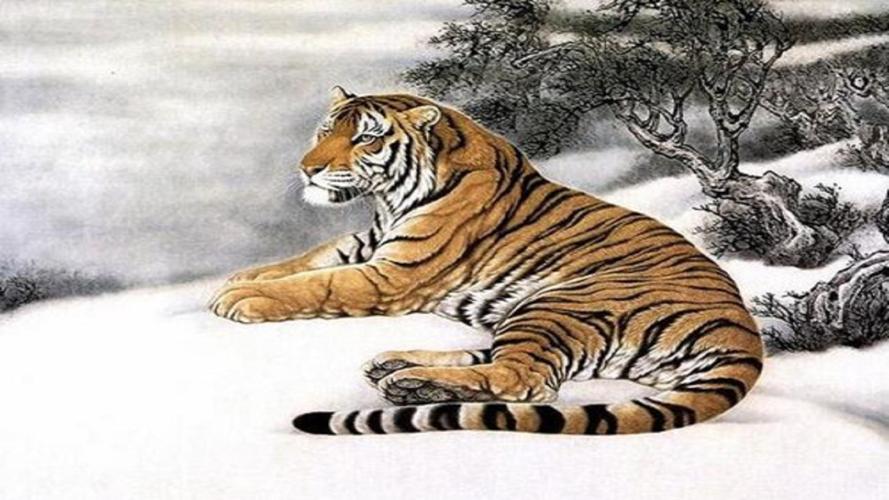 金虎命是苦命还是富命_金虎命运势_金虎命性格特点