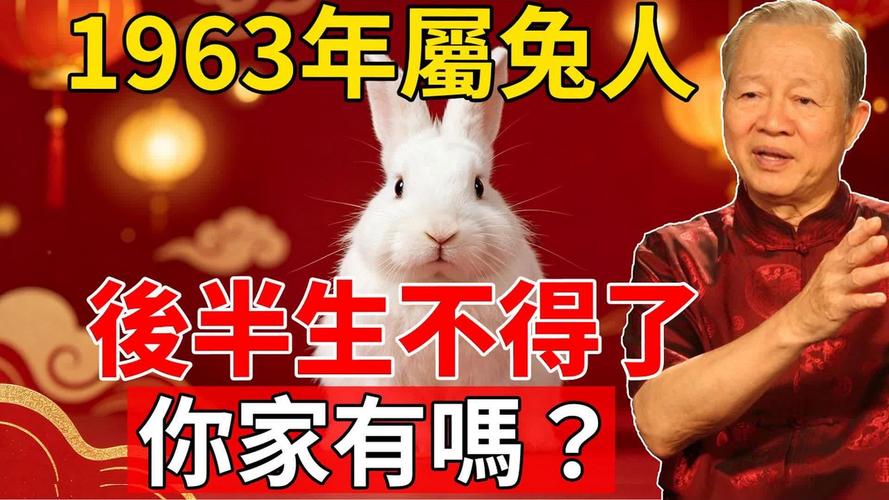 金兔命性格特点_金兔命运势分析_金兔命是几等命