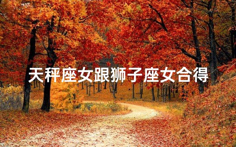 狮子座和天秤座在一起会怎样_狮子座和天秤座的性格差异_狮子座和天秤座配对分析