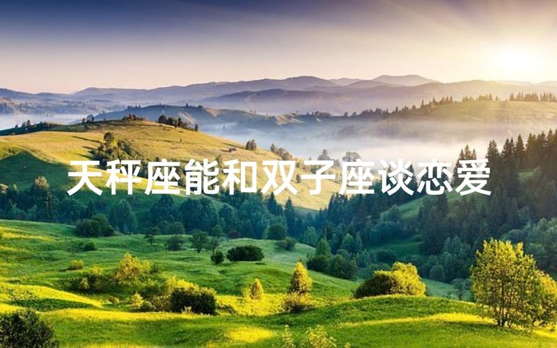 双子座和天秤座配对率_双子座和天秤座的配对率是多少_双子座天秤座性格匹配度