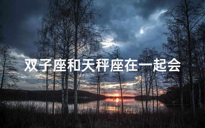 双子座天秤座性格匹配度_双子座和天秤座配对率_双子座和天秤座的配对率是多少