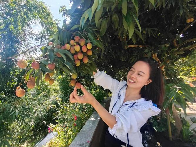 女人梦见荔枝预示什么_梦见荔枝的含义解析_女人梦见荔枝预示什么
