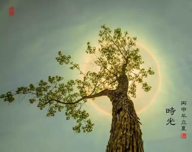 已婚女人梦见刮风下雨 梦境与婚姻关系 刮风下雨财运分析_已婚女人梦见刮风下雨