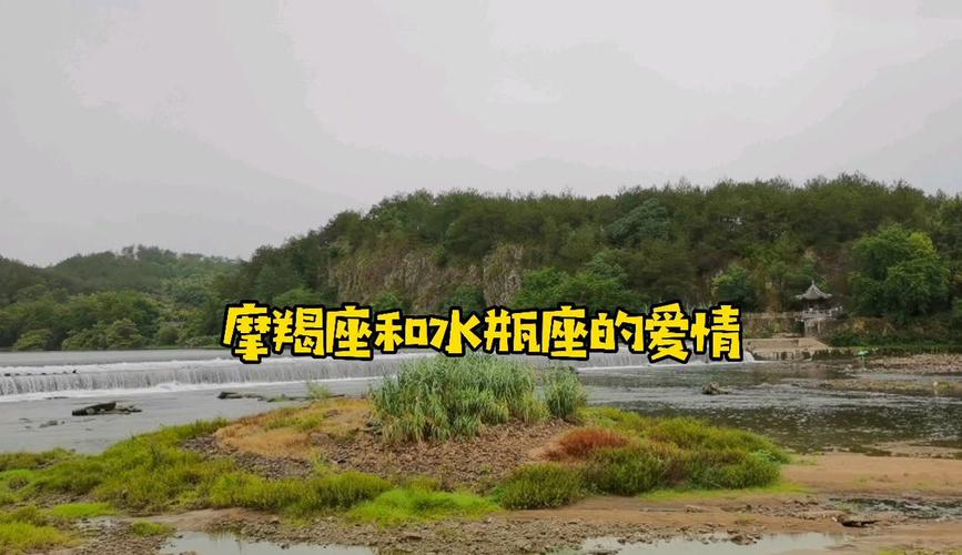 水瓶和摩羯的相处模式_水瓶座和摩羯座感情发展_摩羯座遇到水瓶座会怎么样