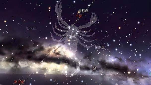 天蝎座天秤座交界日_10月23日星座划分_10月23日是天蝎座还是天秤座