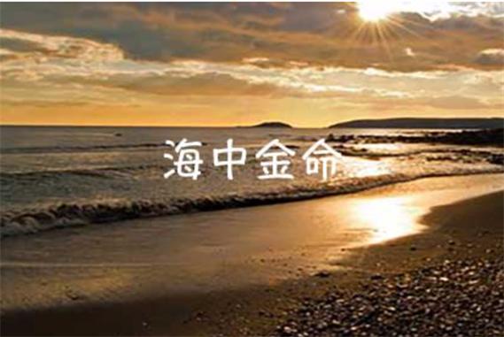 海中金命和海中金命配吗