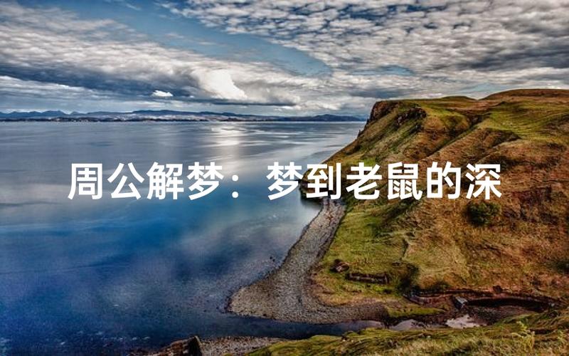 梦见老鼠