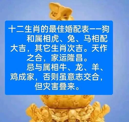 狗和什么属相不到头