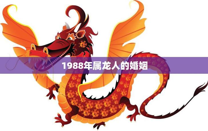 属龙的会在哪一年离婚：婚姻危机年份深度解析