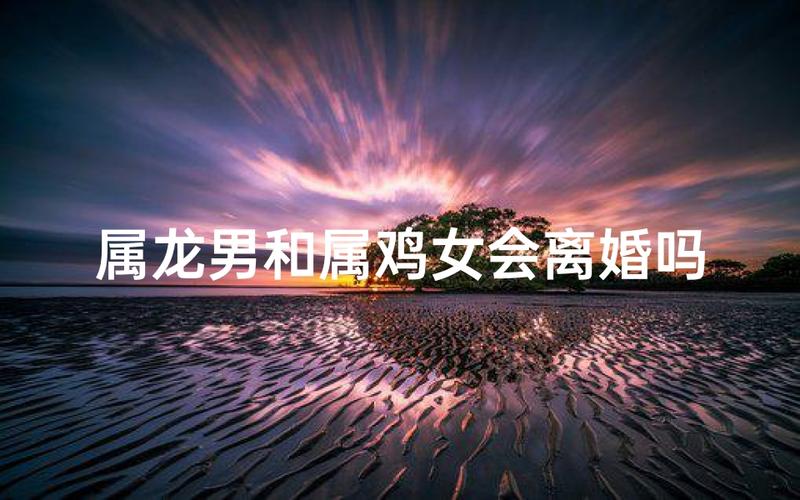 属龙的会在哪一年离婚