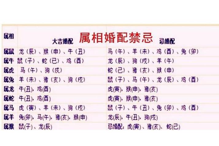 狗女一生离不开哪个生肖