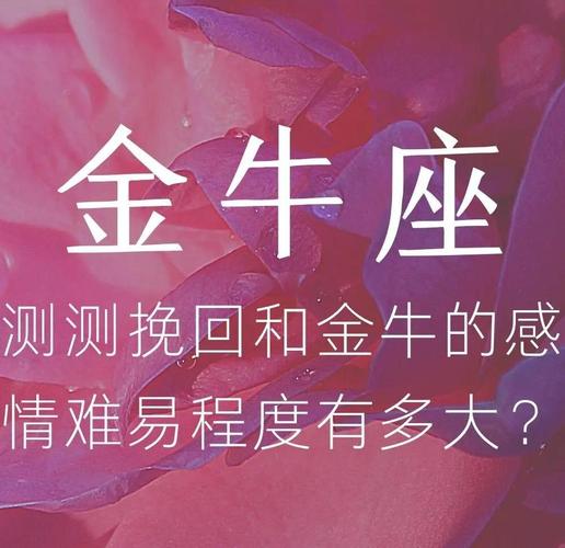金牛座感情复合