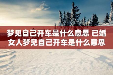 梦见开车、驾驶汽车