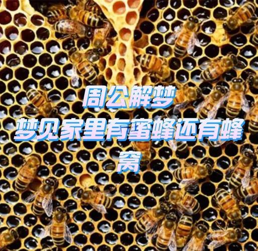 梦见蜂子追我是什么意思