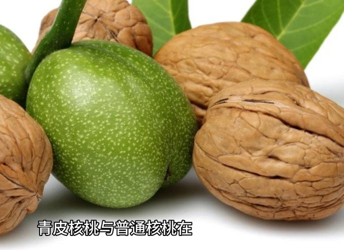 已婚女人梦见青皮核桃