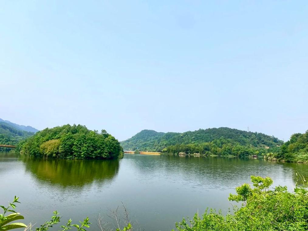 梦见游水