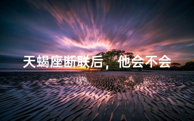 天蝎座断联一个月后主动联系