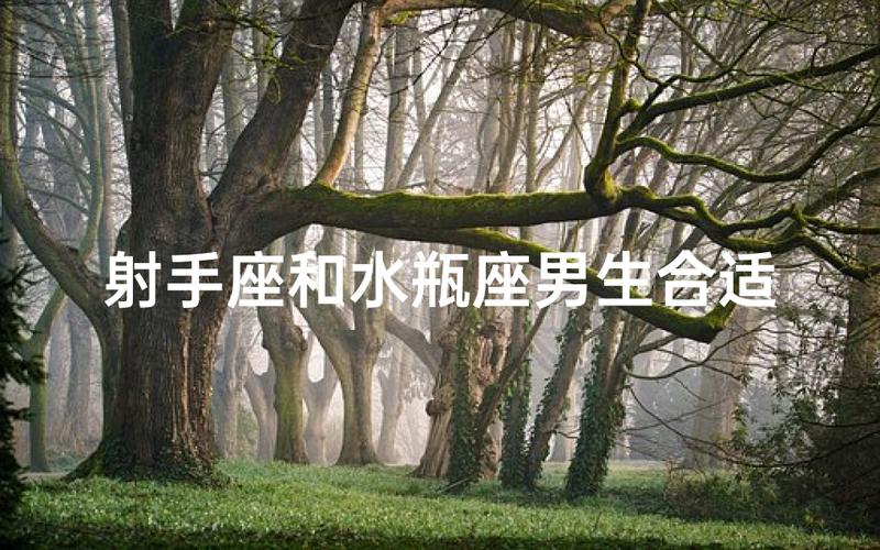 水瓶座男与射手座女匹配指数