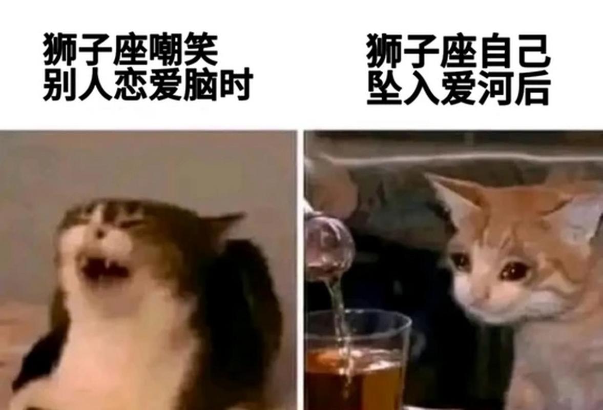 狮子座男暗恋一个人的表现