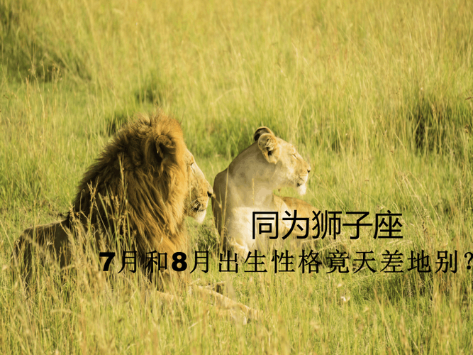 7月和8月的狮子座不同