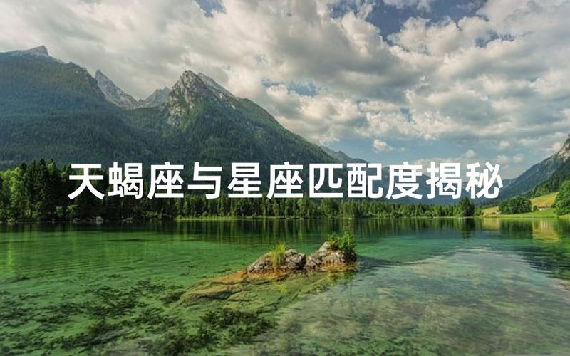 天蝎座和摩羯座的匹配度是多少