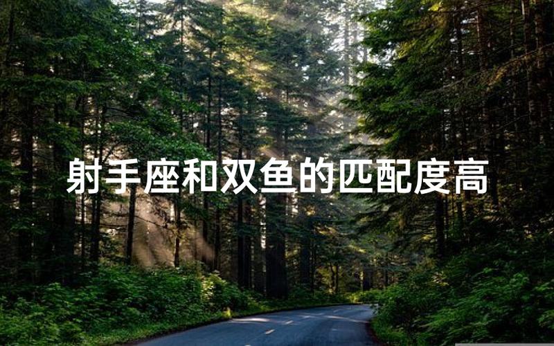 射手和双鱼座配对指数是多少?