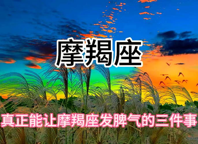 摩羯座为啥脾气那么大