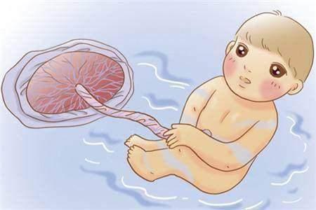 孕妇梦到水