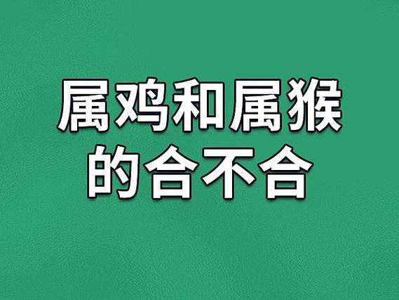 鸡女最嫌弃哪个生肖男