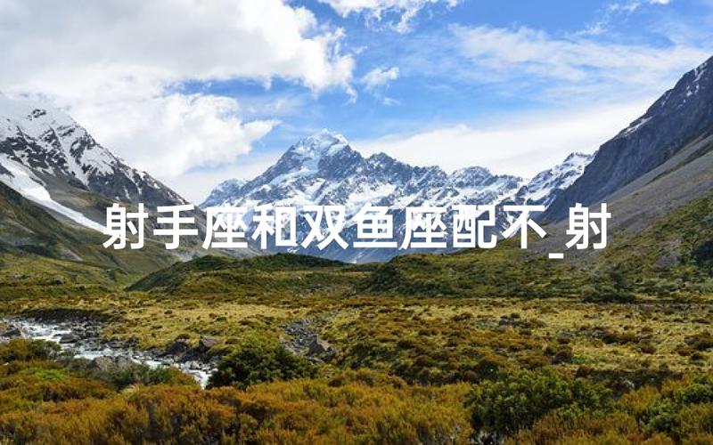 双鱼座和射手座的匹配度是多少