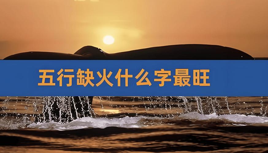 八字带火的汉字