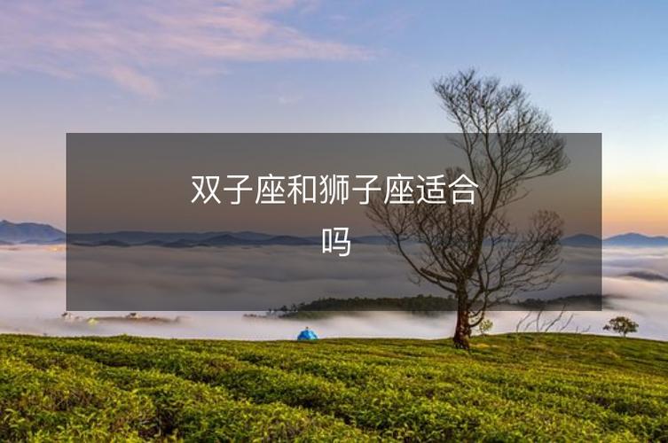 狮子座和双子座的匹配程度